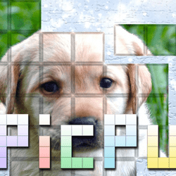 Picpudog